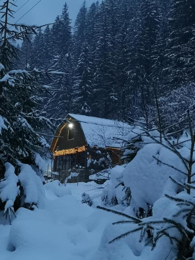 Гостевой дом Секвойя Verkhnyaya Bystra Экстерьер фото