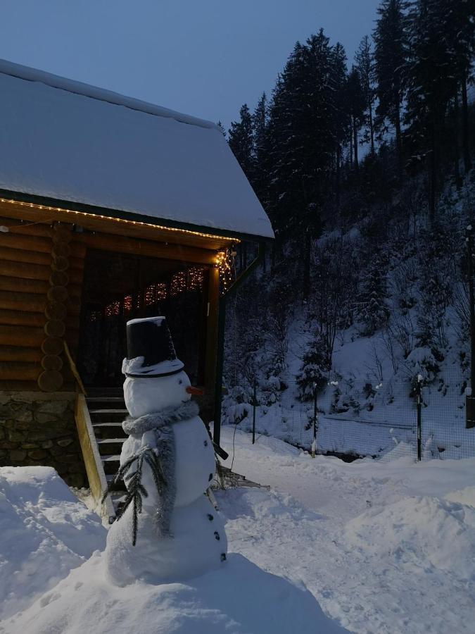 Гостевой дом Секвойя Verkhnyaya Bystra Экстерьер фото